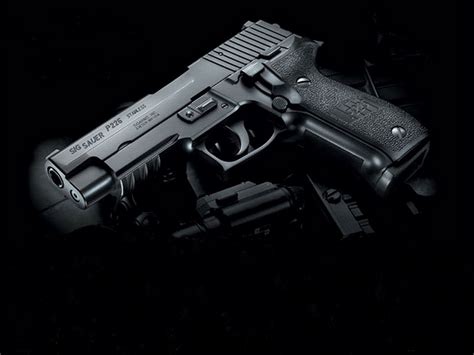 Sig Sauer P229 By Sig Sauer Guru