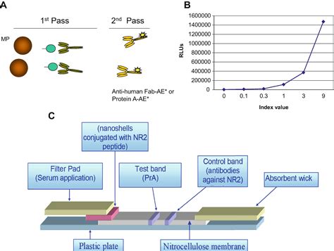 Biomarker Assay Development | Neupsy Key