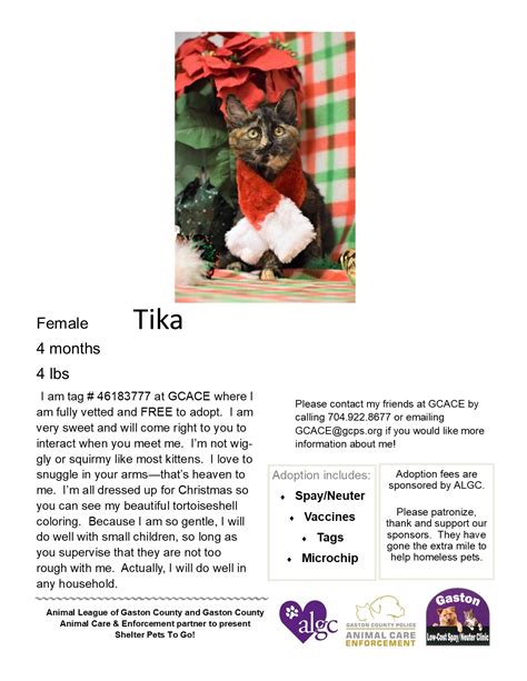 Meet Tika. Tika is... - Gaston Low-Cost Spay/Neuter Clinic | Facebook