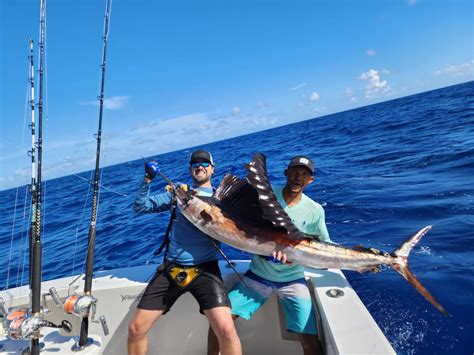 Marlin fishing punta cana - Tease Me Sportfishing Charters