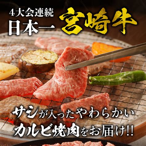 宮崎牛 カルビ 焼肉 500gm243 004 宮崎県宮崎市 Jre Mallふるさと納税