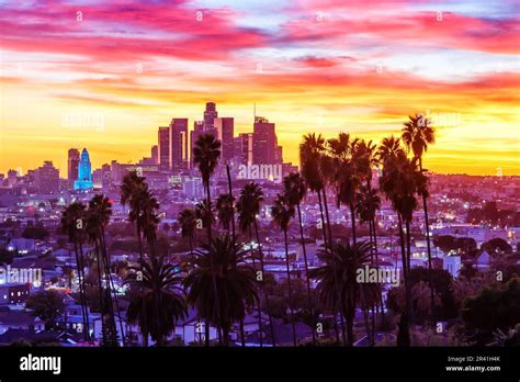 view  downtown los angeles skyline  palm trees  sunset
