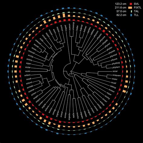 Liam Revell On Twitter Creating A Layered PlotTree WBars Fan Style