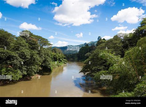 Mahaweli River, Peradeniya, Kandy, Central Province, Sri Lanka Stock ...