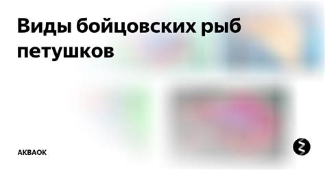 Виды бойцовских рыб петушков | АкваОК | Дзен