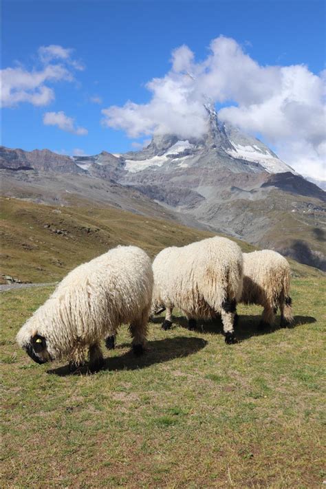 Gornergrat Bahn - Switzerland