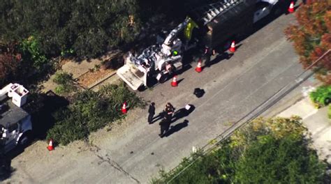 California Tree Trimmer Dies After Falling Into Wood Chipper In Freak