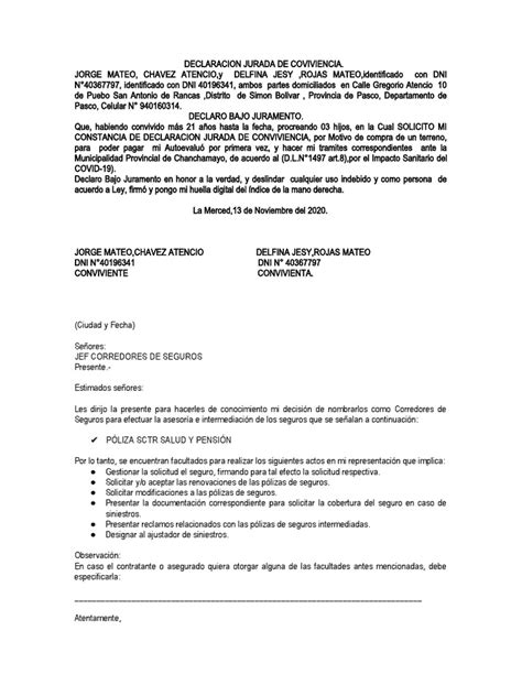 Modelo Carta Nombramiento Sctr Pdf