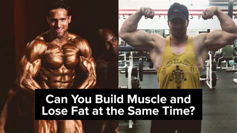 Can You Build Muscle And Lose Fat At The Same Time Biolayne