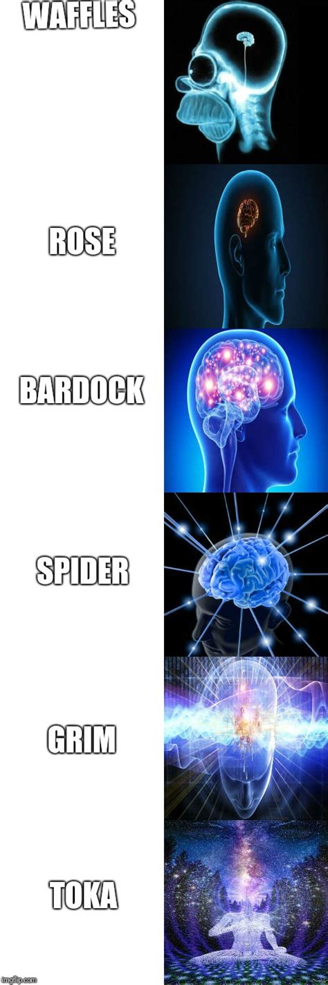 Expanding Brain Memes Imgflip