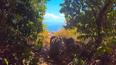 5 Best Hiking Trails on Koh Tao | Hiking trails, Hiking routes ...