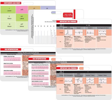 Ekg Horizontal Badge Card Set Ecg Telemetry Cards India Ubuy