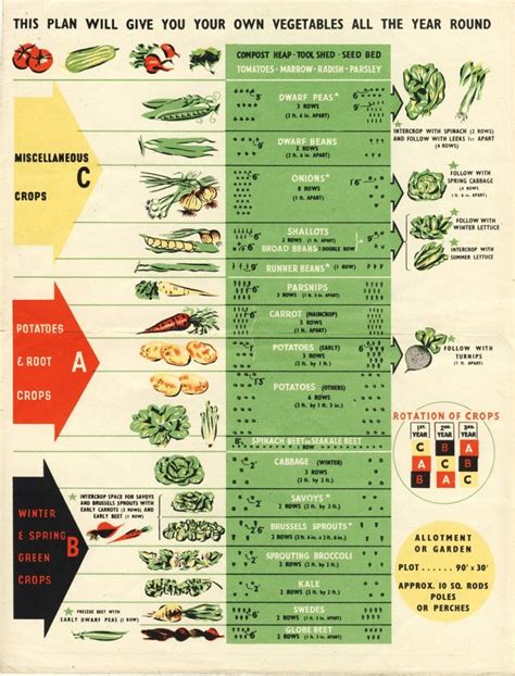 Printable Crop Rotation Chart