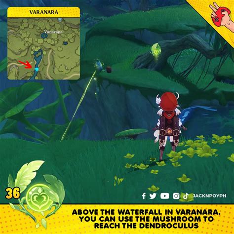 dendroculus location part  genshin impact hoyolab