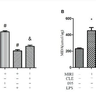 Comparison Of Sod Vitality By Total Superoxide Dismutase Assay Kit