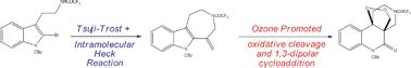 Formation And Reactions Of Azepino B Indoles An Unprecedented