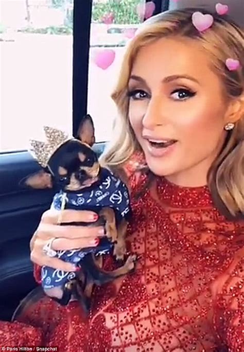 Paris Hilton's dog Diamond Baby joins her on stage to present award ...