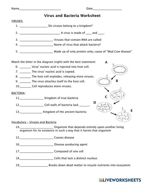 Viruses And Bacteria Online Exercise For Live Worksheets Worksheets