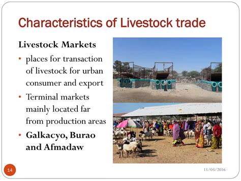 Review on livestock trade and export in Somalia | PDF