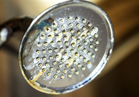 Clogged Shower Head? Clean It With Vinegar! - 1-Tom-Plumber