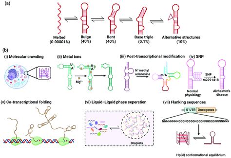 A HIV TAR RNA Conformation Ensemble Consisting Of Diverse Secondary