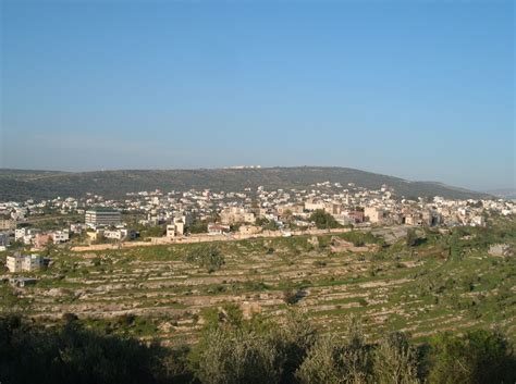 Salfit | Al Reef Fair Trade