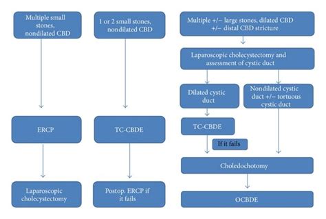 Suggested Algorithm For The Surgical Management Of Choledocholithiasis