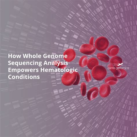 How Whole Genome Sequencing Analysis Empowers Hematologic Conditions Dante Labs Us