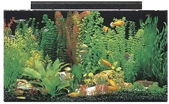 SeaClear Acrylic Aquarium Combo Set - Top Pet Supplies