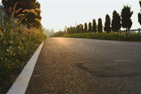 Grass beside Road with Morning Sunrise Sunset View Stock Photo - Image ...