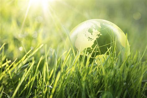 Download A Sustainable Green Economy Wallpaper