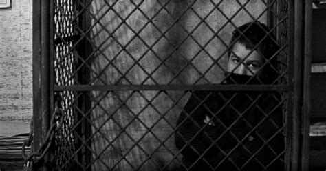 The 400 Blows 1959 Time