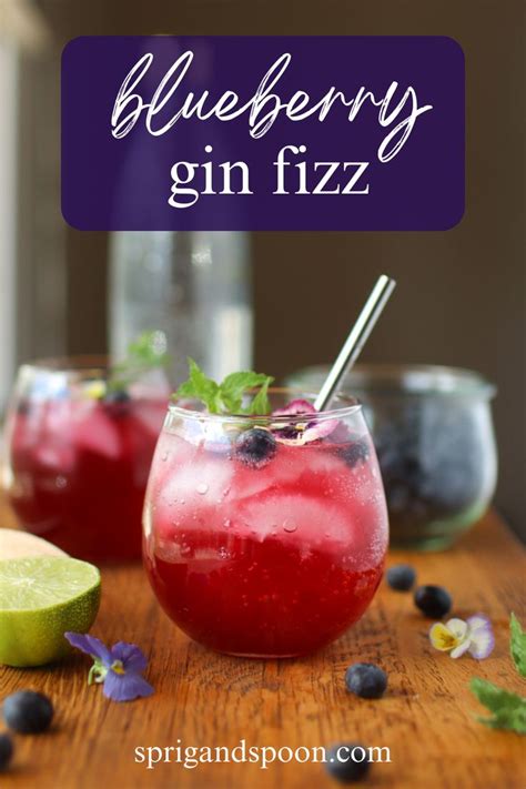 Refreshing Blueberry Gin Cocktail Simple Gin Fizz Recipe Recipe In