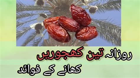 Benefits Of Eating Dates Daily Amazing Health Benefits Of Dates In