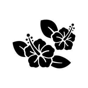 aipng