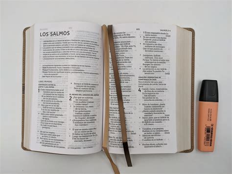 SANTA BIBLIA NBLA LETRA GRANDE TAMAÑO COMPACTO IMITACIÓN PIEL BEIGE