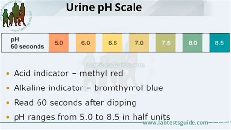 Urine PH: Importance, Normal Range, Factors Affecting PH,, 43% OFF