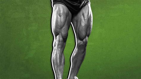 The Anatomy of Your Leg Muscles, Explained (and How To Train Them ...