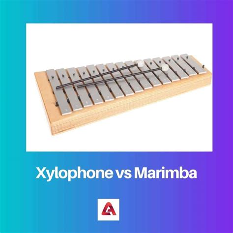 Xylophone Vs Marimba Difference And Comparison