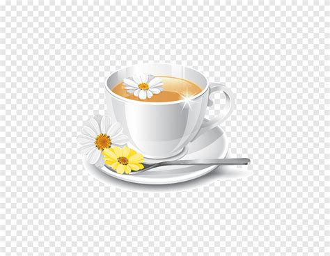 Xícara de café Chá de floração Chá de crisântemo Apetite xícara de