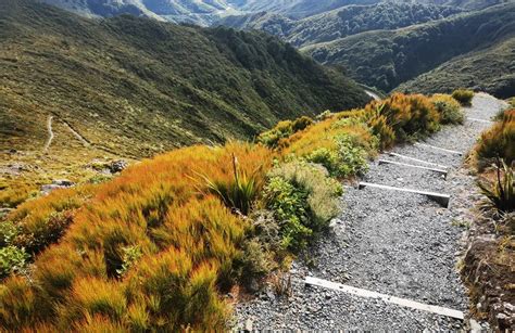 10 Best Trails And Hikes In Upper Hutt Alltrails