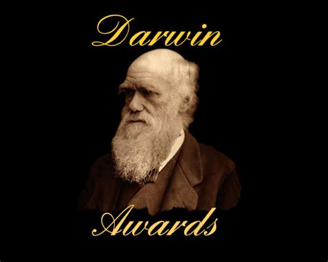 Darwin Awards – 3 Rogues Gaming