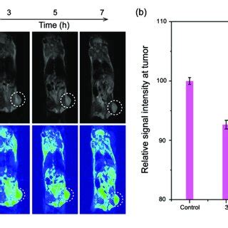 In Vivo MRI Performance A T 2 Weighted MR Images And B