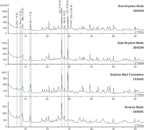 The powder XRD patterns of samples representing the Sub Grybów Beds