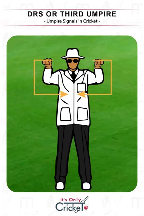 Cricket Umpire Signals: What They Mean Illustrated with Images