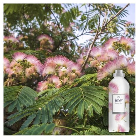 Lenor Aviváž Silk Tree Blossom 1 38 l