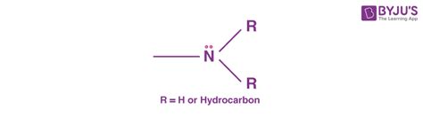 What are Amines - Definition, Types, Structure, Preparation, Properties ...