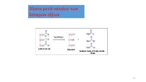 LIPID MAPS Nature Lipidomics Gateway http www lipidmaps