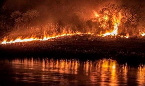 Informe Especial Incendios Sin Control ¿porque Es Importante La Ley