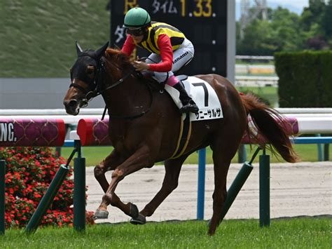 【京都5r新馬戦結果】7番人気のマインドユアビスケッツ産駒サニーサルサが逃げ切り勝ち 競馬ニュース Netkeiba